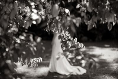 The Wedding Board