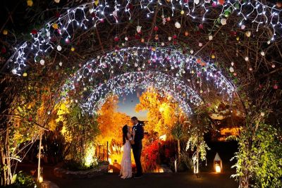 Fotografía de Weddings de Penzi bodas - 20507 