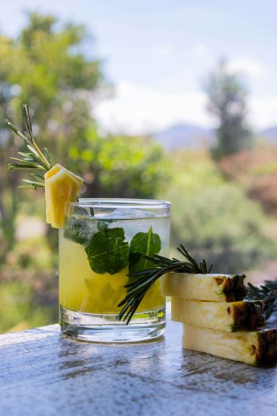 Fotografía de Coctel de recepción de Ambrosía - 43341 