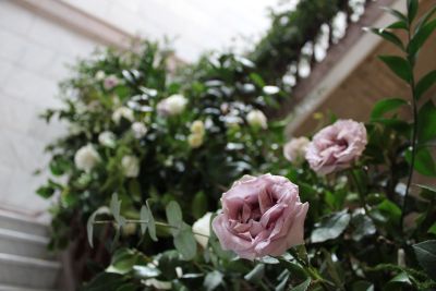 Fotografía de MARIANA + CUIT de Dözna Studio Floral - 43901 