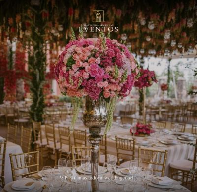 Fotografía de Boda en Terraza Viborillas de Hacienda Viborillas - 44622 