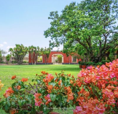 Fotografía de Nuestros Espacios de Hacienda Viborillas - 44639 