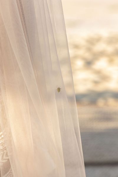 Fotografía de Karla + Giulio de Antonoff Photography - 45425 