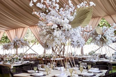 Fotografía de Boda de Alejandra Zermeño - 45622 