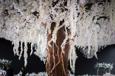 Fotografía de Boda de Alejandra Zermeño - 45632 