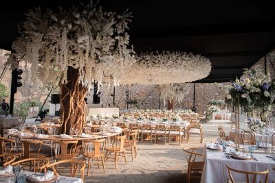 Fotografía de Boda de Alejandra Zermeño - 45634 