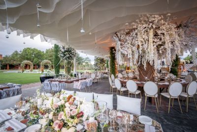 Fotografía de Boda de Alejandra Zermeño - 45640 