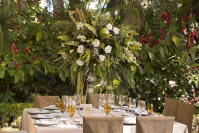 Fotografía de PAM Y ARTURO de Hacienda de Chiconcuac - 46475 